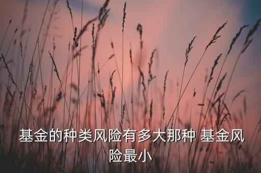  基金的種類(lèi)風(fēng)險(xiǎn)有多大那種 基金風(fēng)險(xiǎn)最小