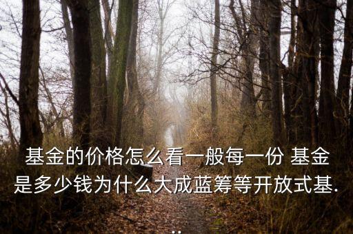  基金的價(jià)格怎么看一般每一份 基金是多少錢(qián)為什么大成藍(lán)籌等開(kāi)放式基...