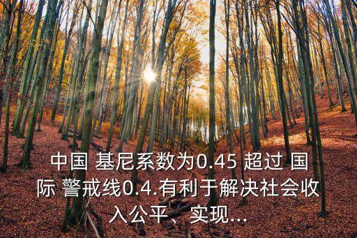 中國 基尼系數(shù)為0.45 超過 國際 警戒線0.4.有利于解決社會收入公平、實(shí)現(xiàn)...