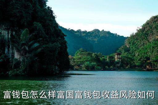 富錢包怎么樣富國(guó)富錢包收益風(fēng)險(xiǎn)如何