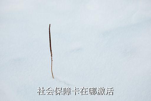 社會保障卡在哪激活