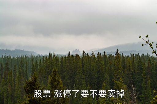  股票 漲停了要不要賣掉