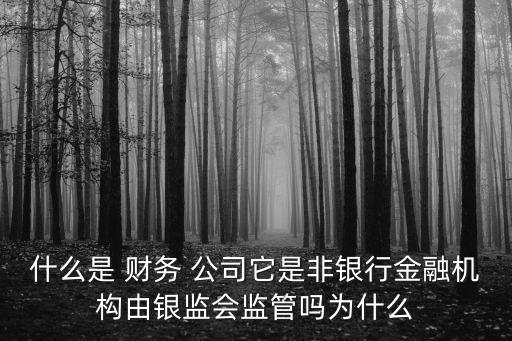 什么是 財務 公司它是非銀行金融機構由銀監(jiān)會監(jiān)管嗎為什么