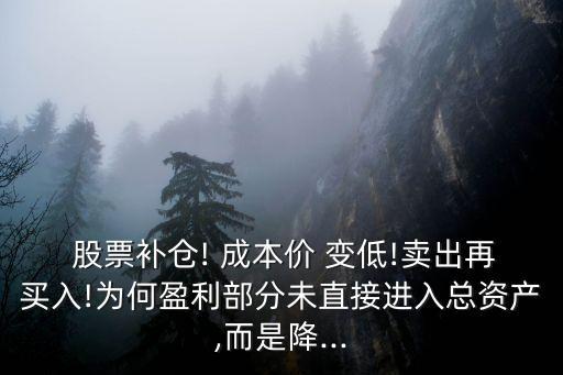 股票沒(méi)買進(jìn)成本價(jià)怎么變低了,股票買進(jìn)的成本價(jià)如何算
