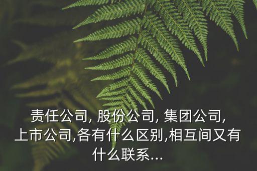 責(zé)任公司, 股份公司, 集團公司,上市公司,各有什么區(qū)別,相互間又有什么聯(lián)系...