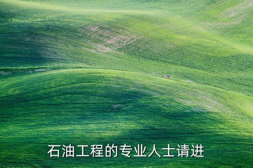石油工程的專業(yè)人士請進(jìn)