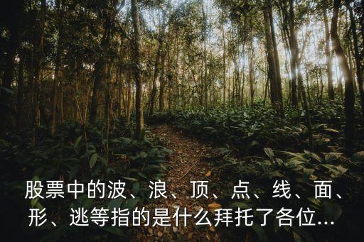  股票中的波、浪、頂、點(diǎn)、線、面、形、逃等指的是什么拜托了各位...
