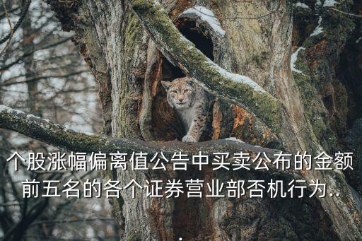 個股漲幅偏離值公告中買賣公布的金額前五名的各個證券營業(yè)部否機(jī)行為...