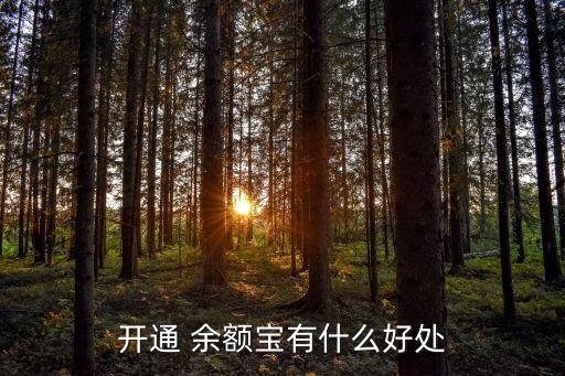 開(kāi)通 余額寶有什么好處
