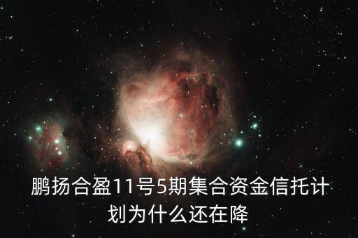 鵬揚(yáng)投資公司實力,北京有實力的投資公司有哪些