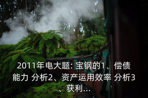 上海寶鋼利潤(rùn)表主要項(xiàng)目分析