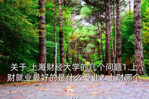 上海財(cái)經(jīng)大學(xué)降級(jí)出國