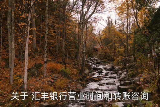 關(guān)于 匯豐銀行營(yíng)業(yè)時(shí)間和轉(zhuǎn)賬咨詢(xún)