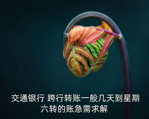  交通銀行 跨行轉賬一般幾天到星期六轉的賬急需求解