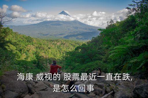  ?？?威視的 股票最近一直在跌,是怎么回事