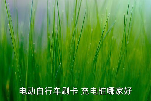 電動(dòng)自行車刷卡 充電樁哪家好