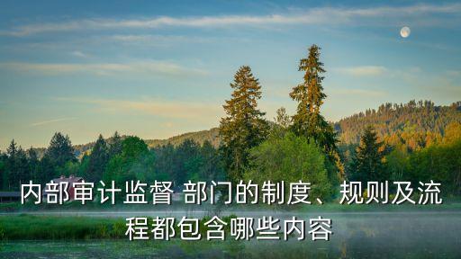 內(nèi)部審計監(jiān)督 部門的制度、規(guī)則及流程都包含哪些內(nèi)容