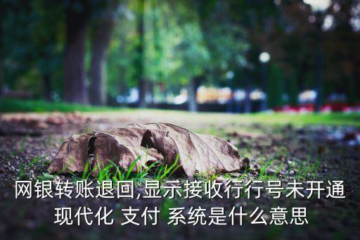 現(xiàn)代化銀行支付系統(tǒng)號(hào),中國(guó)現(xiàn)代化支付系統(tǒng)CNAPS