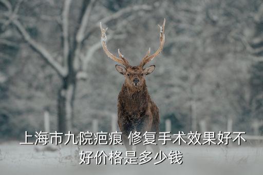  上海市九院疤痕 修復手術效果好不好價格是多少錢