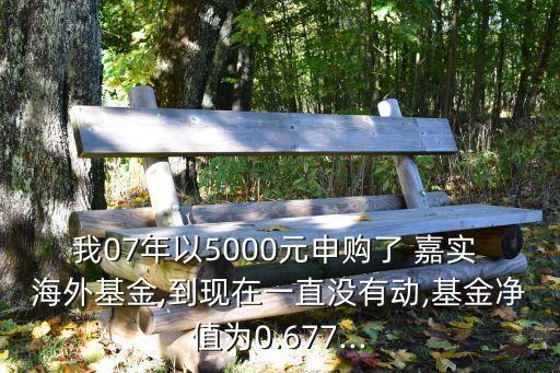 我07年以5000元申購了 嘉實(shí) 海外基金,到現(xiàn)在一直沒有動,基金凈值為0.677...