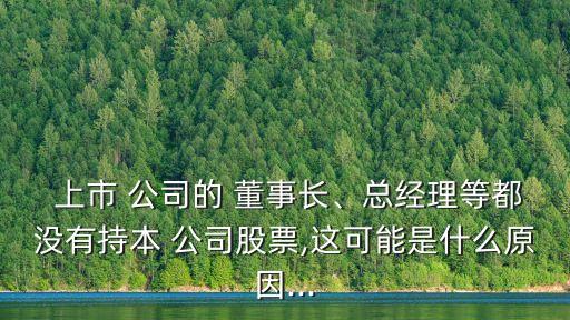  上市 公司的 董事長、總經(jīng)理等都沒有持本 公司股票,這可能是什么原因...
