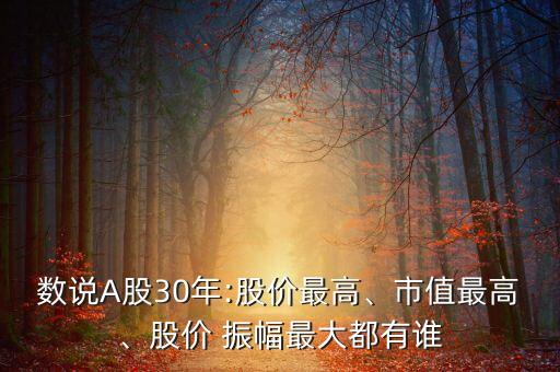 數(shù)說A股30年:股價(jià)最高、市值最高、股價(jià) 振幅最大都有誰(shuí)