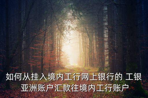 如何從掛入境內(nèi)工行網(wǎng)上銀行的 工銀 亞洲賬戶(hù)匯款往境內(nèi)工行賬戶(hù)