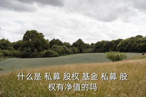 什么是 私募 股權(quán) 基金 私募 股權(quán)有凈值的嗎