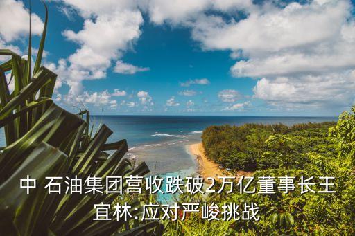 中 石油集團(tuán)營(yíng)收跌破2萬億董事長(zhǎng)王宜林:應(yīng)對(duì)嚴(yán)峻挑戰(zhàn)