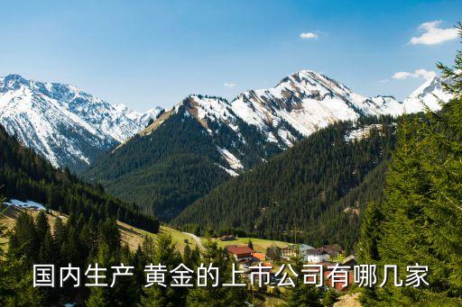 國內生產(chǎn) 黃金的上市公司有哪幾家