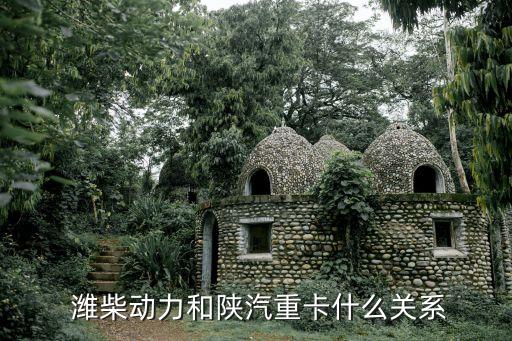  濰柴動力和陜汽重卡什么關(guān)系