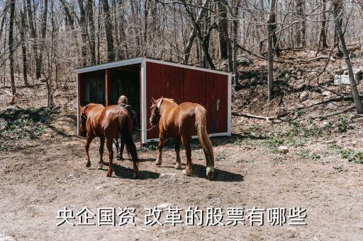 悅達(dá)投資是國企改革概念嗎