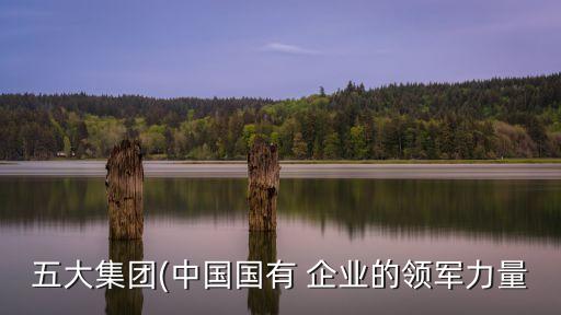 五大集團(中國國有 企業(yè)的領軍力量