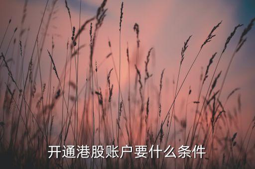 開(kāi)通港股賬戶要什么條件