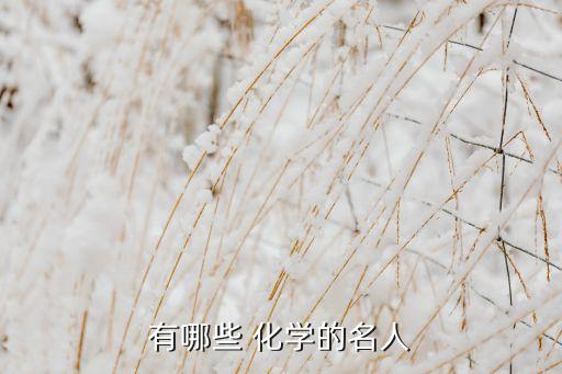 有哪些 化學的名人