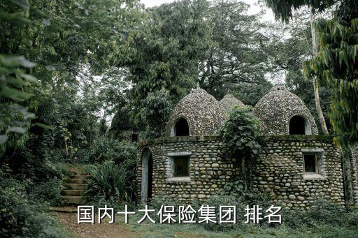 國內(nèi)十大保險(xiǎn)集團(tuán) 排名
