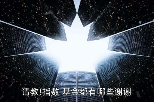 請(qǐng)教!指數(shù) 基金都有哪些謝謝