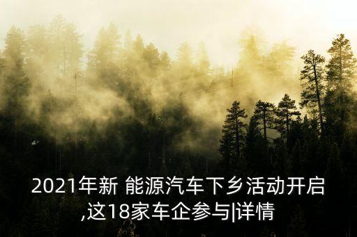 2021年新 能源汽車(chē)下鄉(xiāng)活動(dòng)開(kāi)啟,這18家車(chē)企參與|詳情