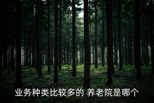 業(yè)務(wù)種類(lèi)比較多的 養(yǎng)老院是哪個(gè)