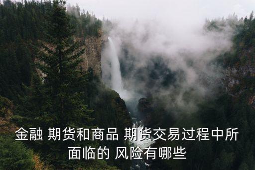 金融 期貨和商品 期貨交易過程中所面臨的 風險有哪些