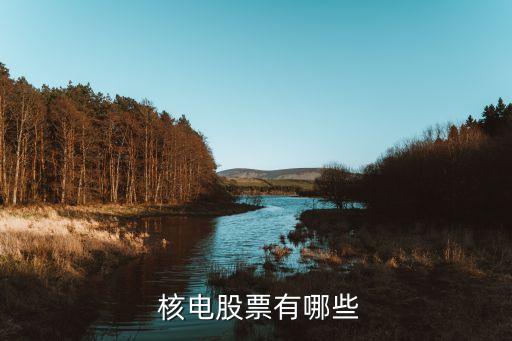 中國核電市值多少,中國有多少核電站