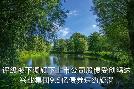 評級被下調(diào)旗下上市公司股債受創(chuàng)鴻達興業(yè)集團9.5億債券違約旋渦