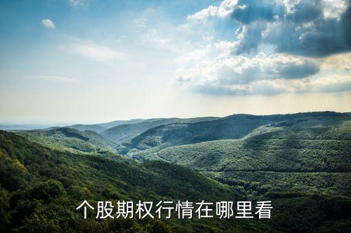 個股期權行情在哪里看