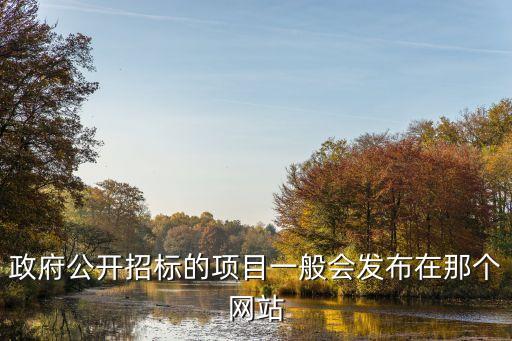 政府公開(kāi)招標(biāo)的項(xiàng)目一般會(huì)發(fā)布在那個(gè)網(wǎng)站