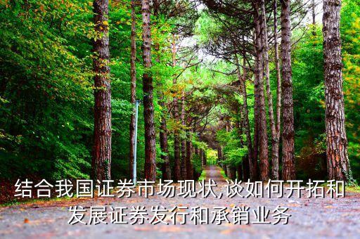 中國投資銀行競(jìng)爭(zhēng)力研究報(bào)告,投資銀行案例研究報(bào)告
