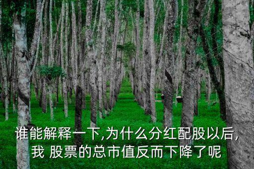 誰(shuí)能解釋一下,為什么分紅配股以后,我 股票的總市值反而下降了呢