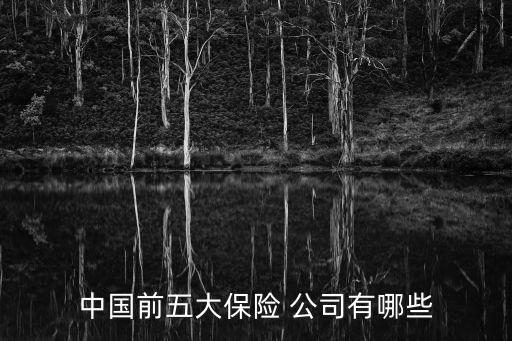 中國前五大保險(xiǎn) 公司有哪些