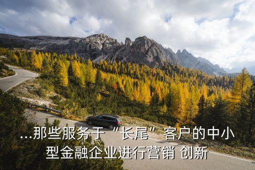 ...那些服務(wù)于“長尾”客戶的中小型金融企業(yè)進行營銷 創(chuàng)新