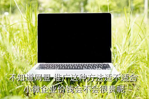 不知道網(wǎng)盟 推廣這種方法適不適合 小微企業(yè)價(jià)錢(qián)會(huì)不會(huì)很貴呢