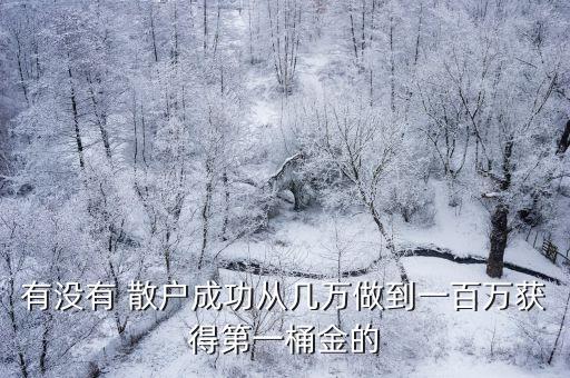 有沒有 散戶成功從幾萬(wàn)做到一百萬(wàn)獲得第一桶金的